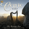 ARYEH FRANKFURTER - Celtic Harp  The Morning Dew