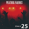PEATBOG FAERIES - Live @ 25