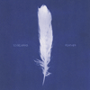 EDGELARKS - Feather 
