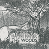 HAMISH NAPIER - The Woods 